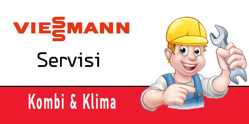 Ankara Viessmann Kazan Servisi 